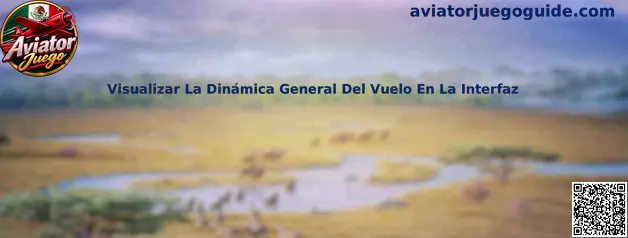 Visualizar La Dinámica General Del Vuelo En La Interfaz