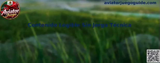 Contenido Legible Sin Jerga Técnica en Aviator Juego